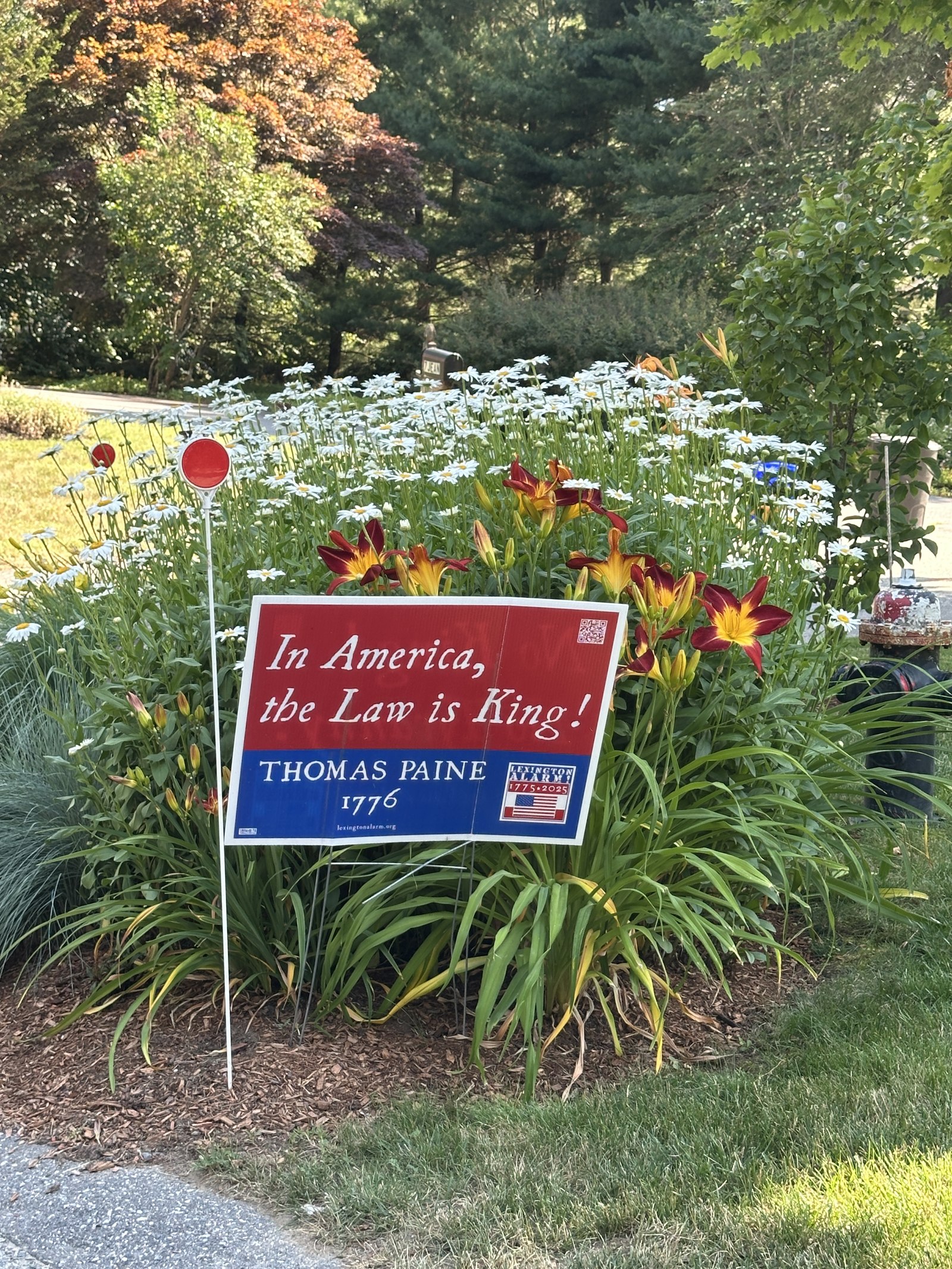 Yard sign: In America, the Law is King, Thomas Paine 1776