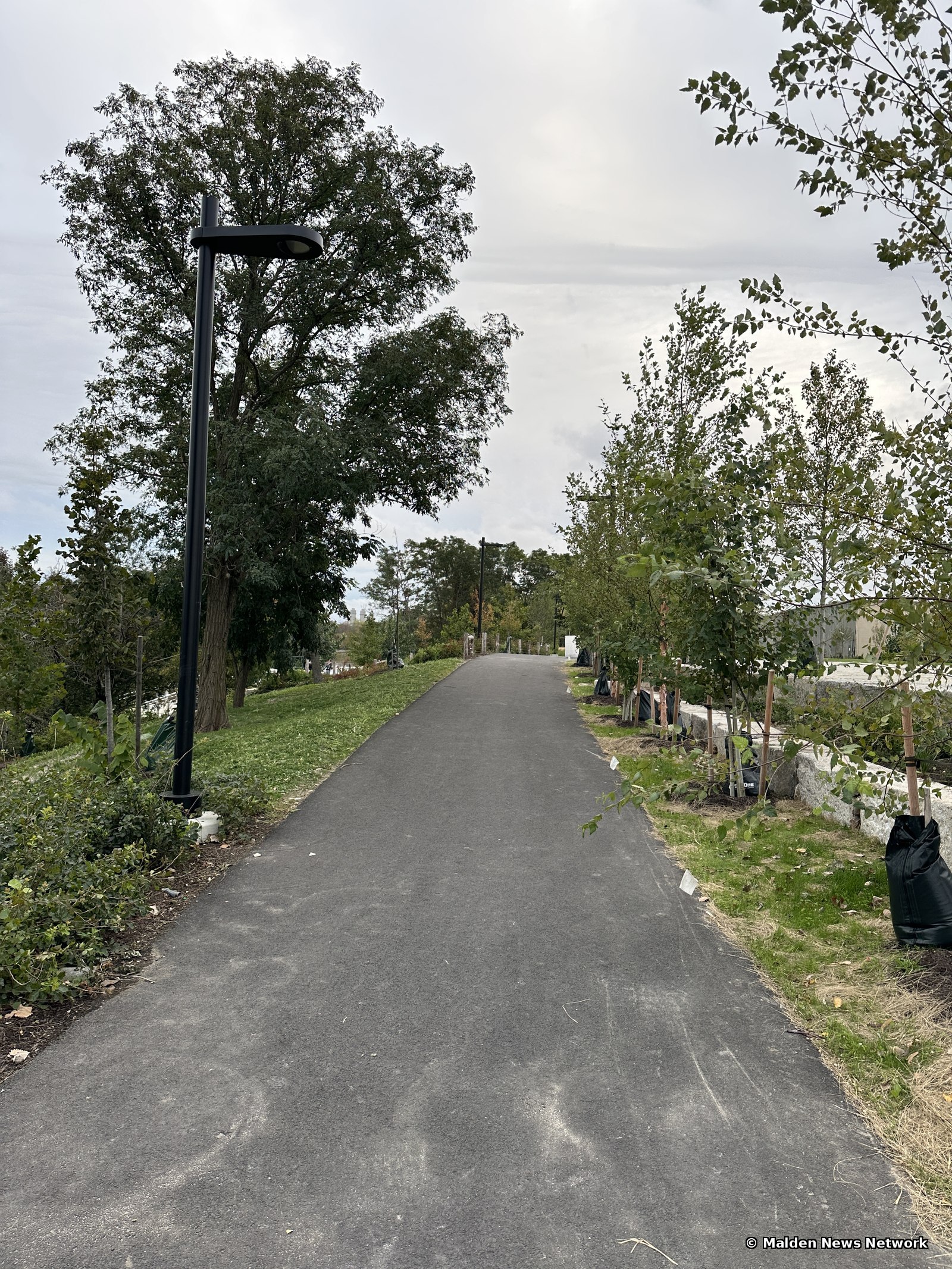 A wide asphalt path rising gently past a tall black light pole and young staked trees.
