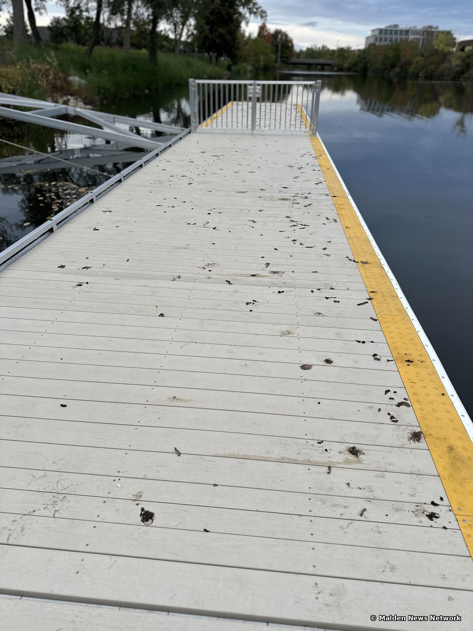 A long floating dock with a yellow edge strip, its pale decking spotted with dark bird droppings.