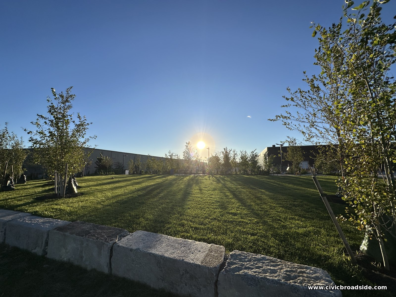 Low sun over a freshly mowed lawn, with long shadows across the grass, young trees at the edges, and a cut-stone block in the foreground