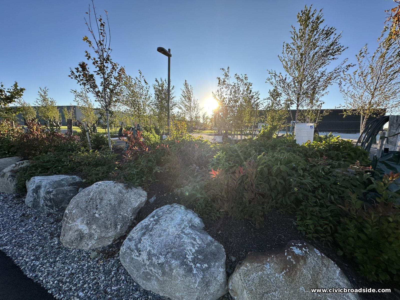 The low sun flaring behind young trees above boulders and gravel, with a light pole in the background