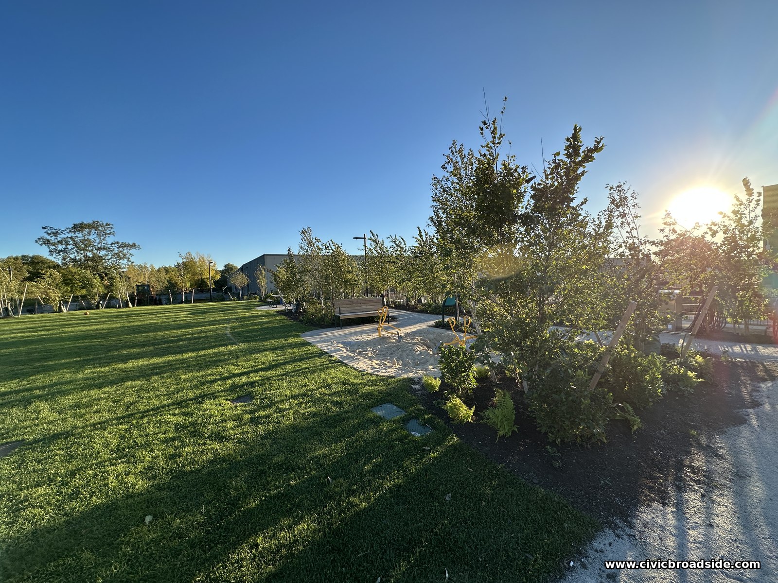 Sun low in a blue sky over a lawn, a curving path, and wind-bent young trees