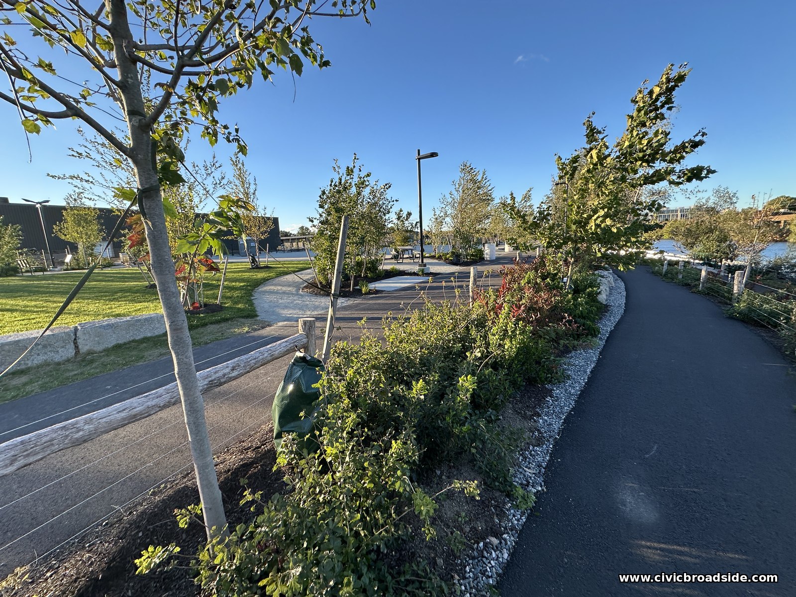 A black asphalt path curving beside a gravel edge, shrubs, and a young tree leaning in the wind