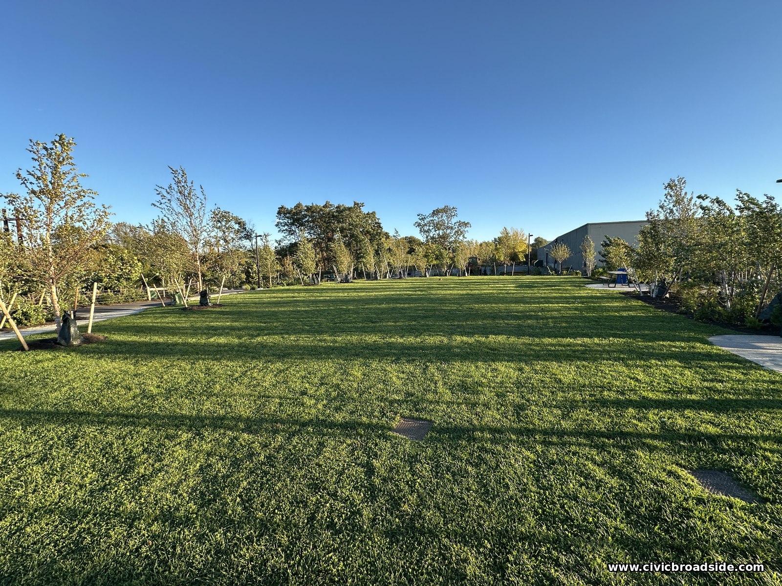An open, freshly mowed lawn under a deep blue sky, with young trees along the far edge