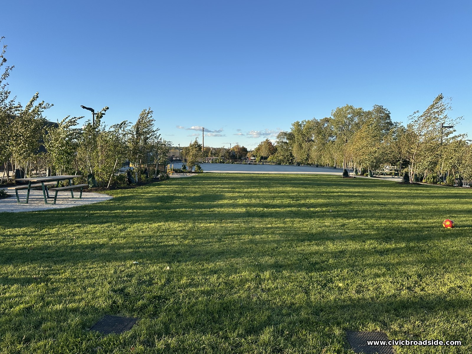 A wide lawn with a picnic table at left, wind-tossed trees in the distance, and what looks like an orange ball on the grass