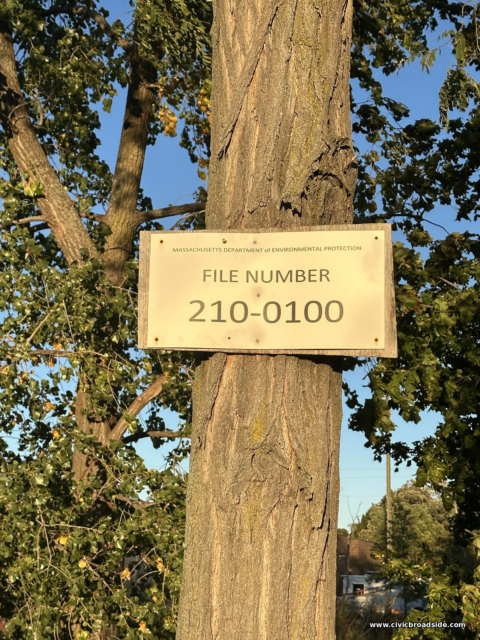 A weathered white placard reading File Number 210-0100, nailed to a tree trunk