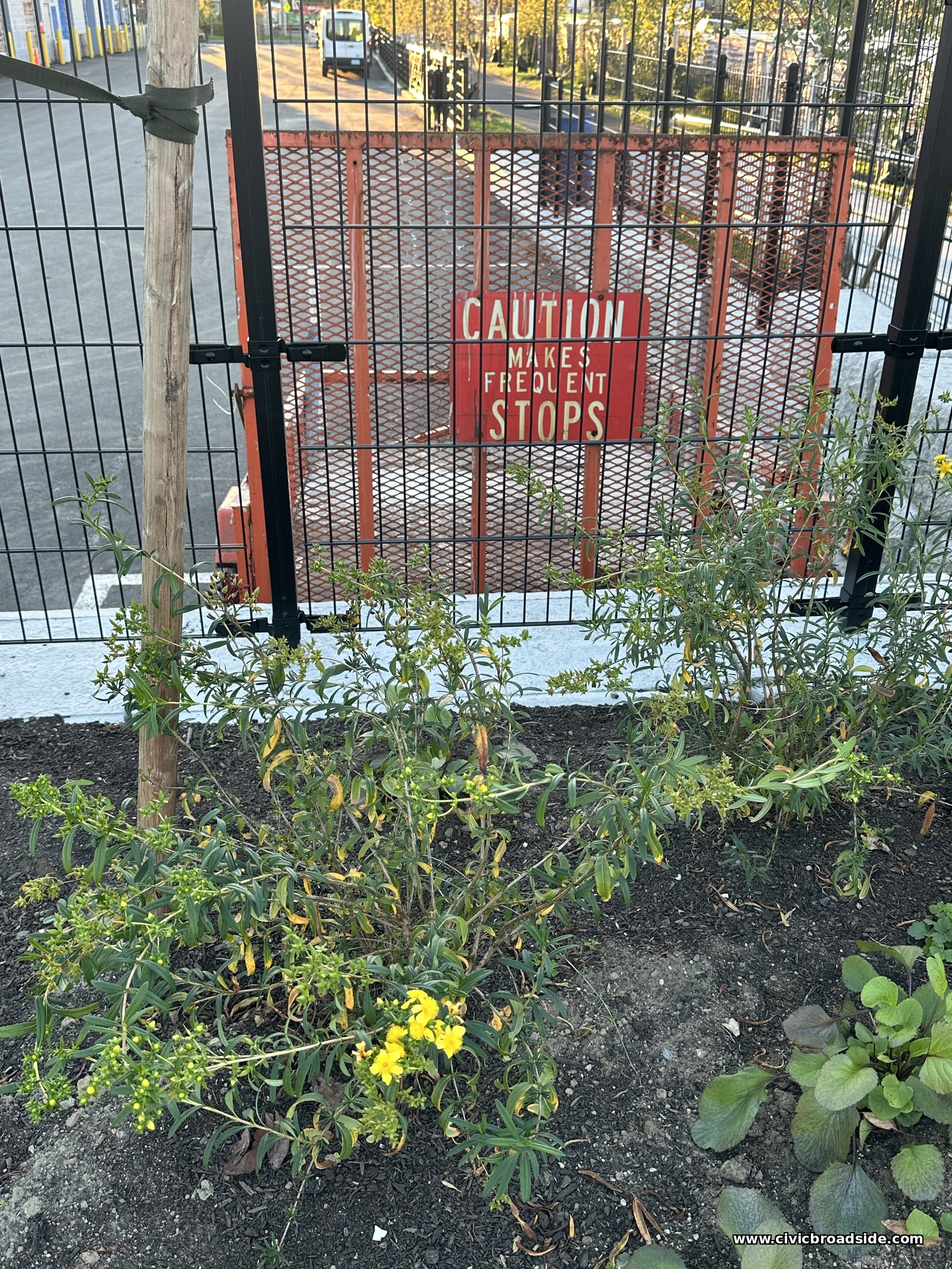 A red sign reading Caution Makes Frequent Stops on a metal mesh fence, with young plantings in the foreground